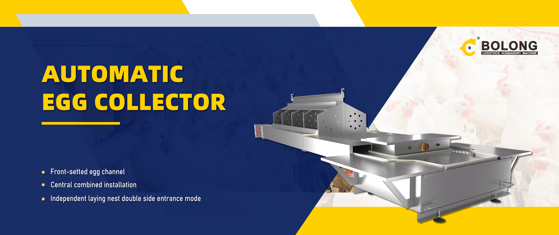 automatic egg collect machine for sale
